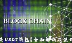 什么是USDT钱包？全面解析及使用指南