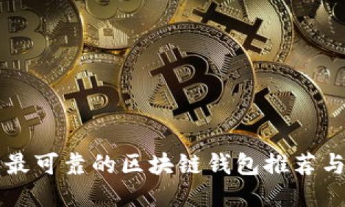 国内用户最可靠的区块链钱包推荐与使用指南