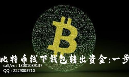 如何从比特币线下钱包转出资金：一步步详解