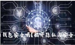 比特币登陆钱包安全吗？揭开隐私与安全的神秘