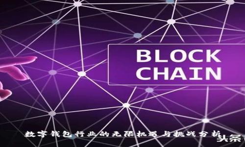 数字钱包行业的无限机遇与挑战分析