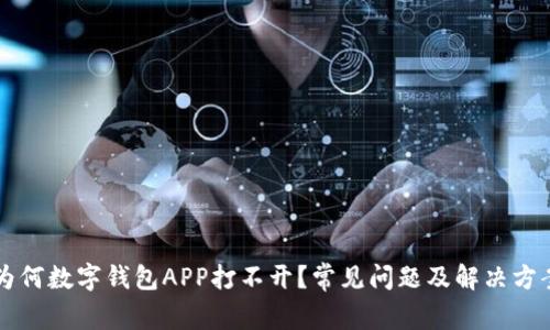 为何数字钱包APP打不开？常见问题及解决方案