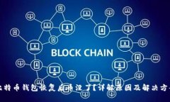 比特币钱包恢复后币没了？详解原因及解决方案