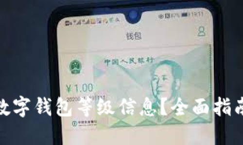 : 如何查看数字钱包等级信息？全面指南与实用技巧